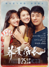 麻豆传媒在线免费观看